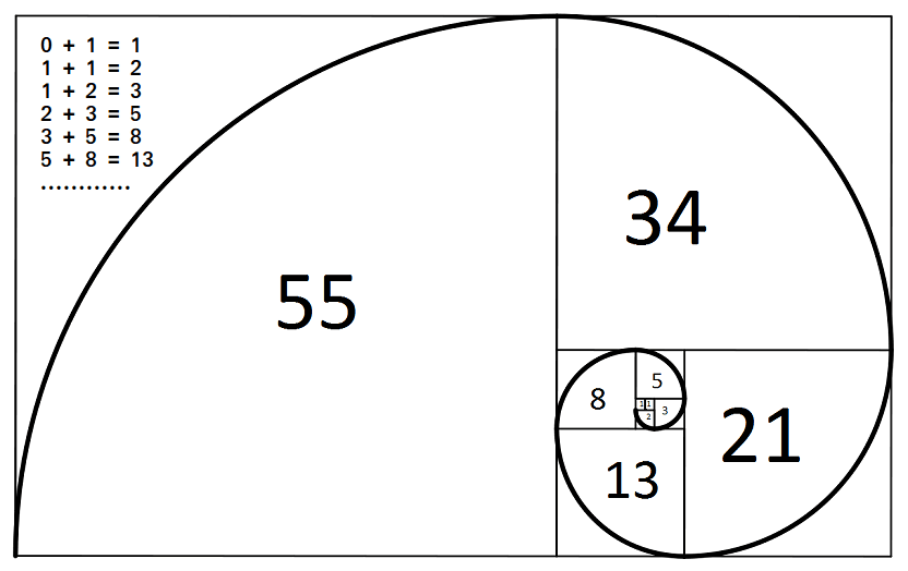 fibonacci dievi6koji proporcija